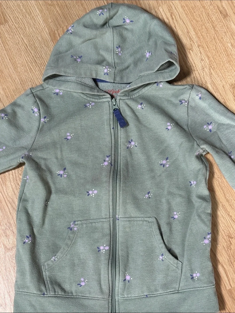 Catt and Jack set floral green sweatshirt hood zip up sweatpants 6
